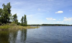 Lake Views2